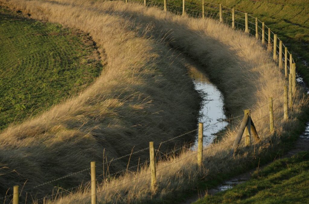 How To Maintain Large Drainage Ditches