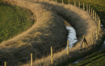 How To Maintain Large Drainage Ditches